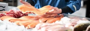 Frost: a iluminação ideal para o peixe fresco