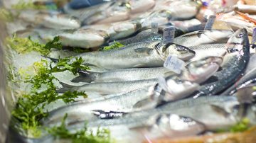 Benefícios do peixe