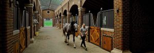 Bourne Hill Stables criam um ambiente mais seguro com iluminação UV-C