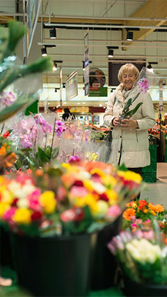 A secção de flores no Real, iluminada pela iluminação Philips de supermercados