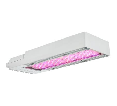 Iluminação LED de topo compacta