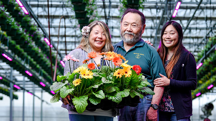 Floricultura