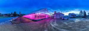 Iluminação LED Philips para horticultura